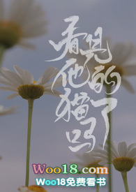 ��������è���𣨱�����1v1��