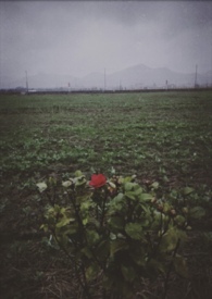 ���һ������