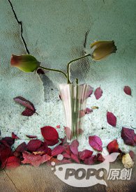 �崿�೤�ġ��ա���������⣬NP��