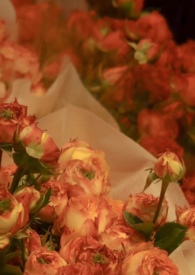 ���� 1v1 ���� ׷�޻��᳡