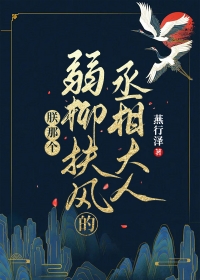 ���Ǹ����������ة�����