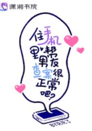 ס�ֻ�������Ѳ鰸�������ɣ�