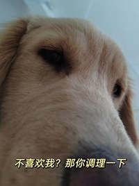 ��ϲ���ң��������һ��