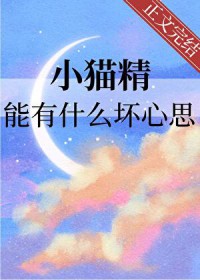 Сè������ʲô����˼