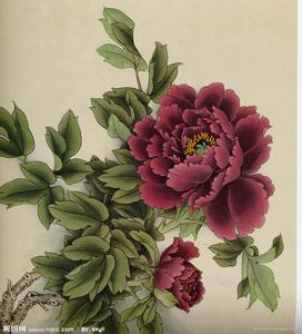 ��Ϸ��֮ȽȽ