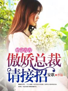 ��;�����������ܲ������(���ѩĽ�ݷ�)