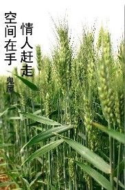 �ռ����֣����˸���