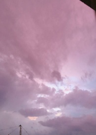 ֹ�p