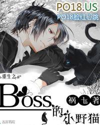 ����֮boss��СҰè
